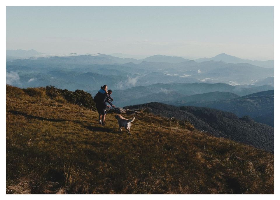 10 Pet-Friendly Hotels in California Worth the Splurge