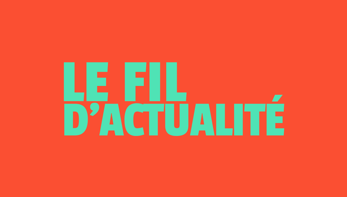 Le fil d'actualité