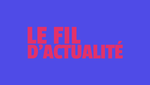 Le fil d'actualité