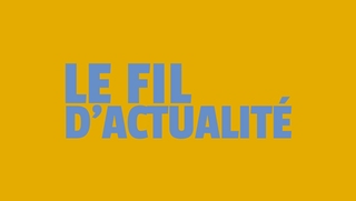 Le fil d'actualité