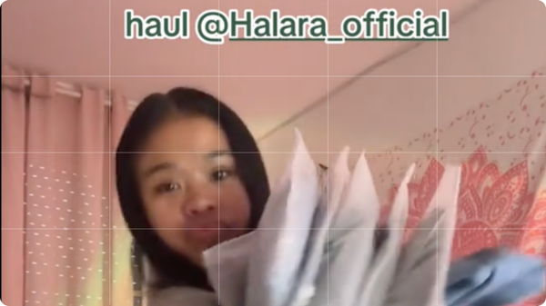 Les marques chinoises freinent sur l’influence aux US