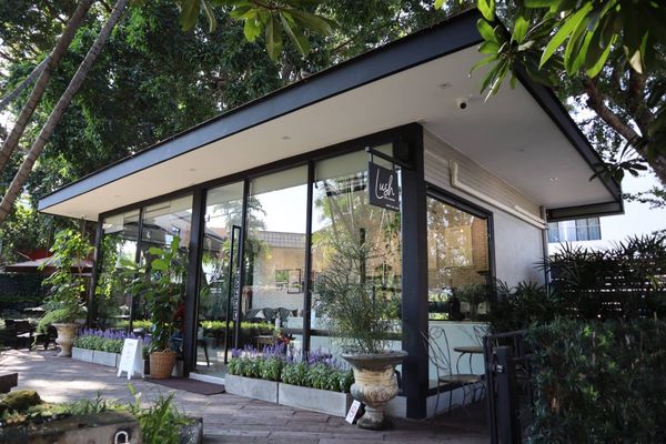 Lush Cafe & Garden