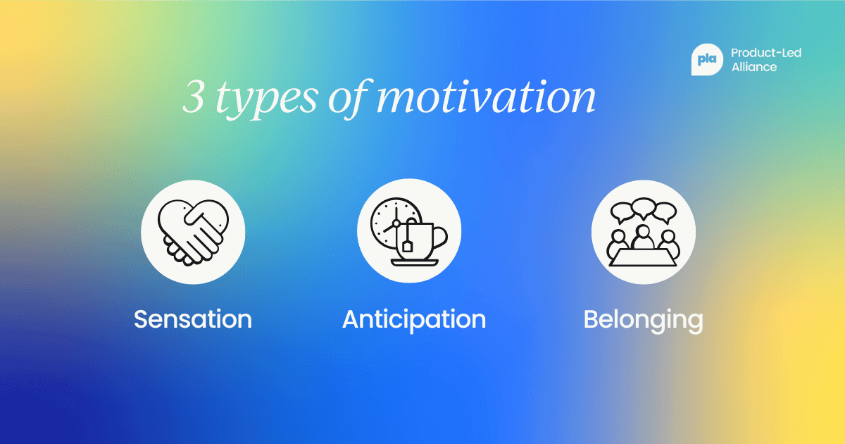 3 types of motivation: sensation, anticipation, belonging