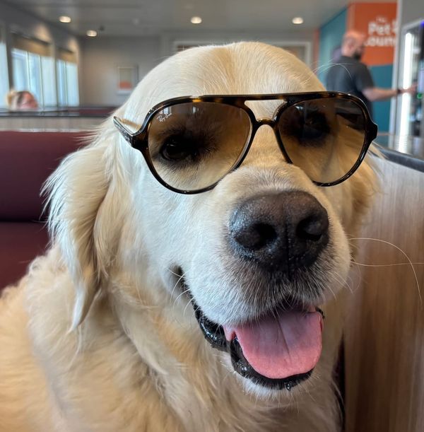 When to Retire: Finding the Sweet Spot