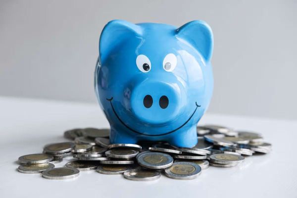 pușculiță cu bani, Fluence Tax, Solidaritätszuschlag (Soli)