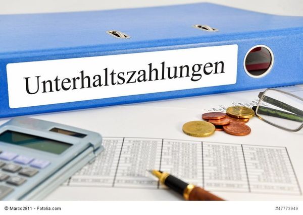 Unterhaltsleistungen, Bani trimiși familiei din România