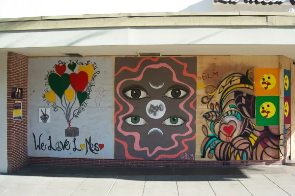 La Mesa Community Art Documentation Project
