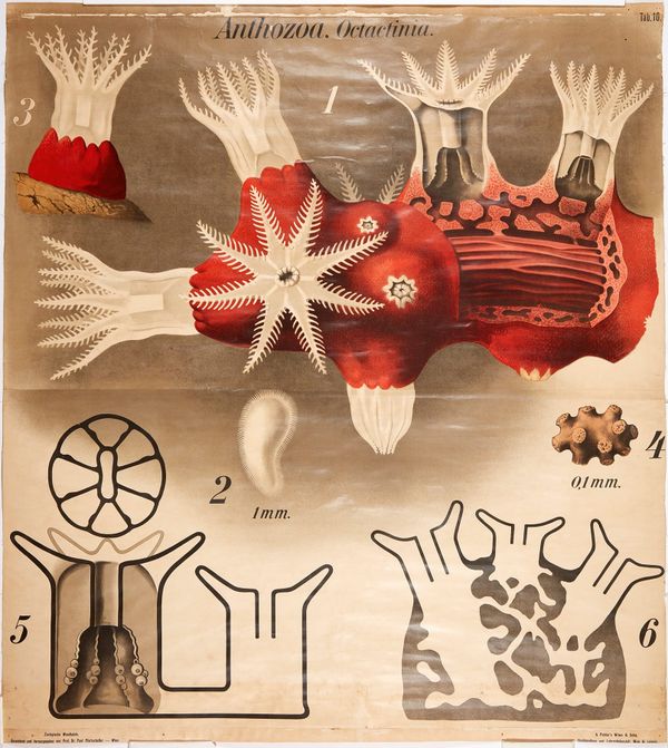 How to structure platform teams when you're supporting thousands of engineers