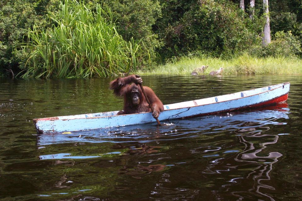 How to get huge wins with breakthrough content