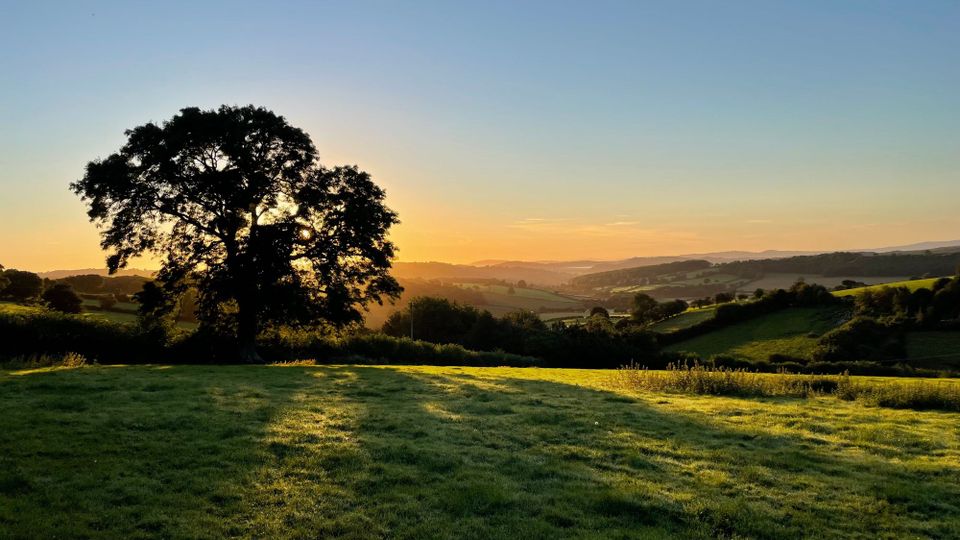 🏏 Cricket NFTs, ITV open John Lewis store in Fortnite, and Pokemon Go's new 'real-world metaverse': Content3.0 wrap of the week 🔫