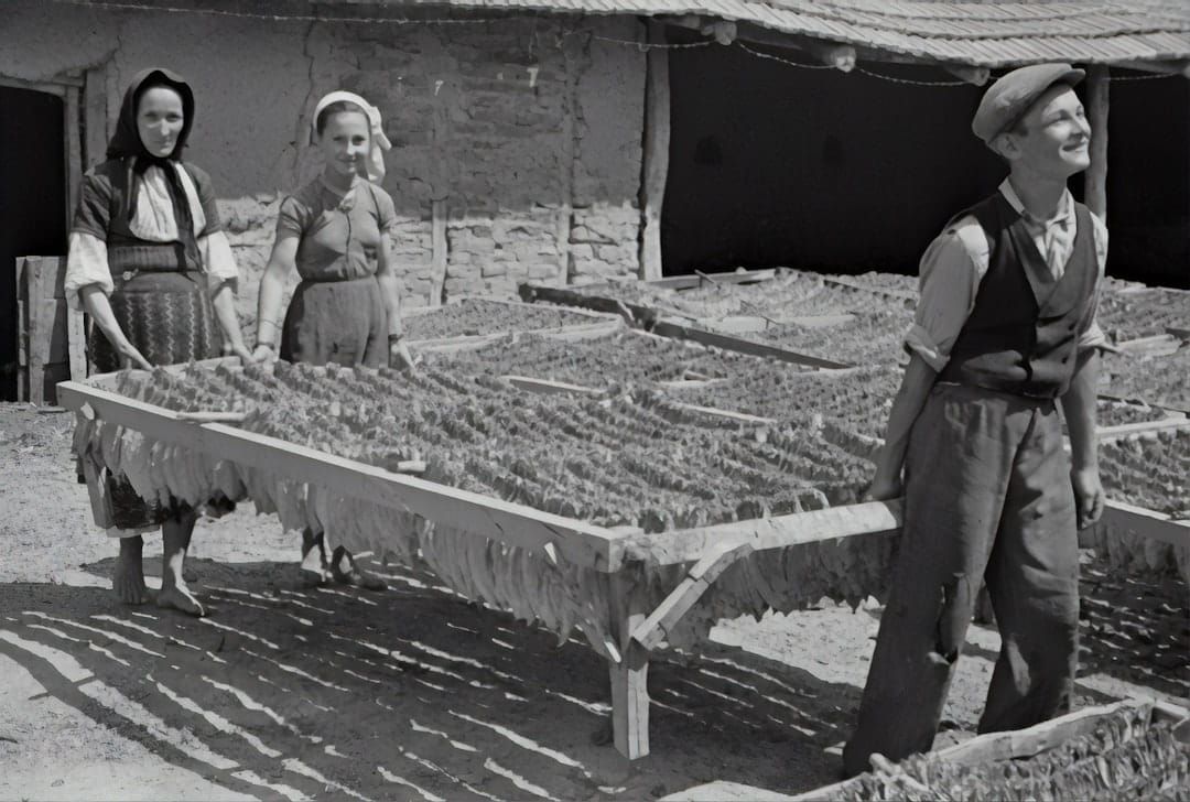 Summer camp at Chick-fil-A