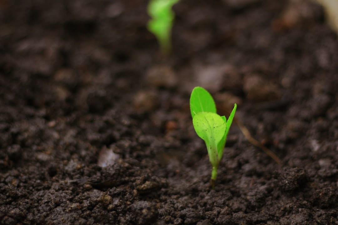 Earthseed Part 2