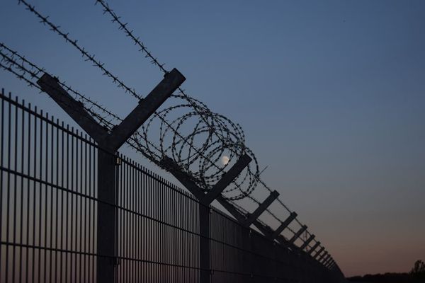 Elon Musk's Premeditated Fascism