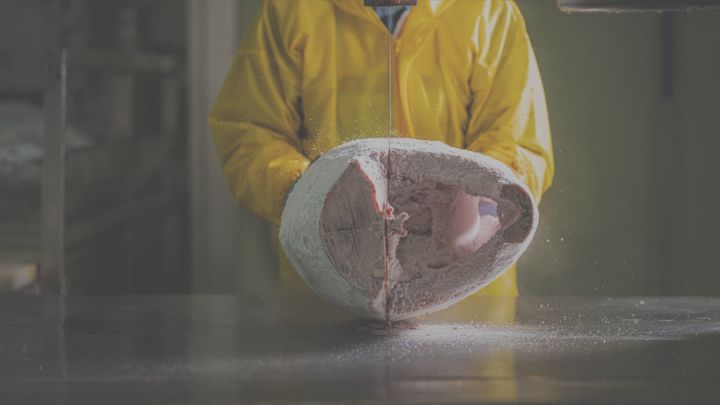 Works : SnB 인터내셔널, 냉동 수산물 가공 무역 전문업체 촬영