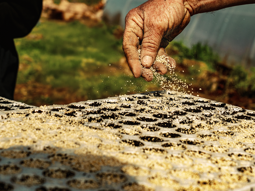 Mapa histórico de Barcelona