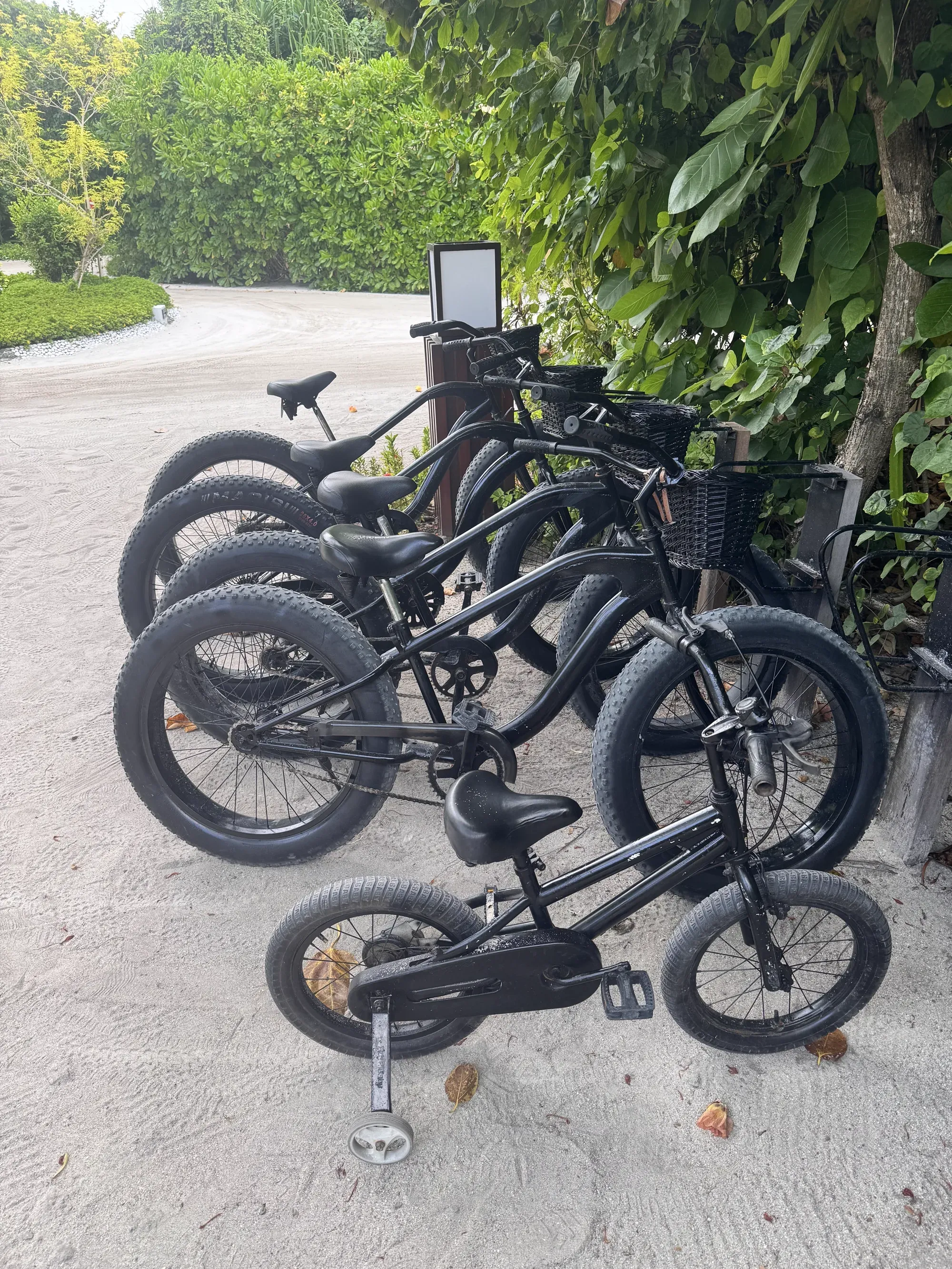 Fat-tyre resort bicycles including a child's bike parked on a sand path at Emerald Maldives