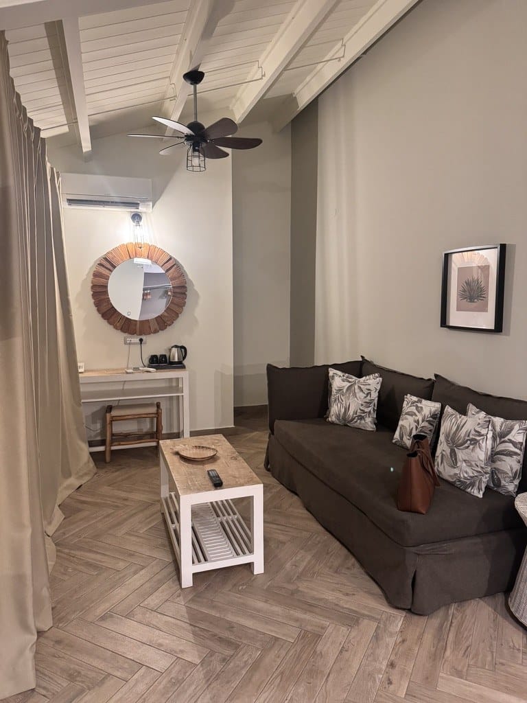 Boutique room interior with brown sofa, ceiling fan and vaulted white ceiling at La Signora Hotel