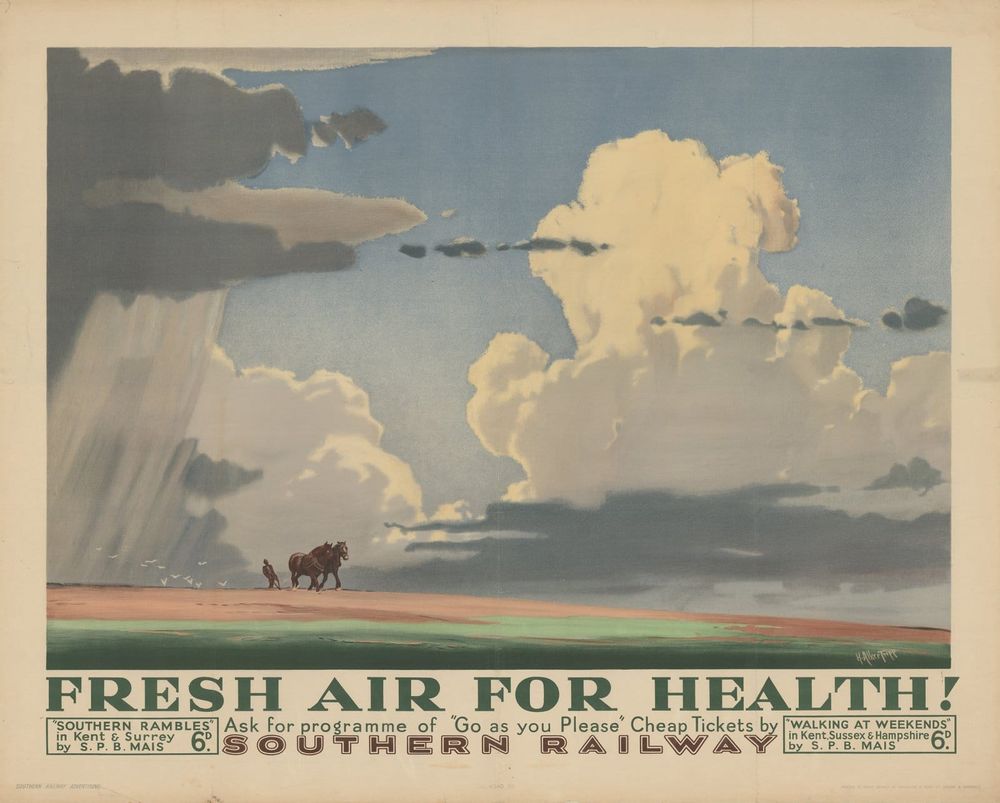 go as you please post image