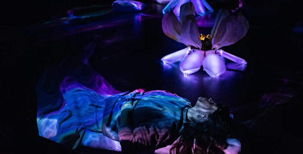 Promo image for 2025 FOLDA.