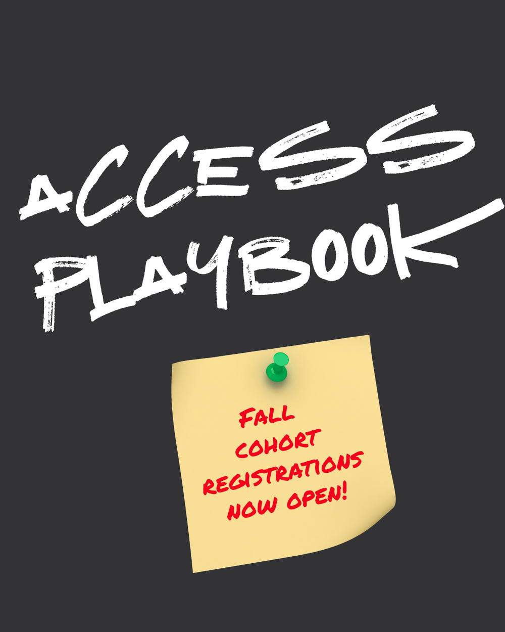 The Access Playbook: A Disability-Led Framework post image