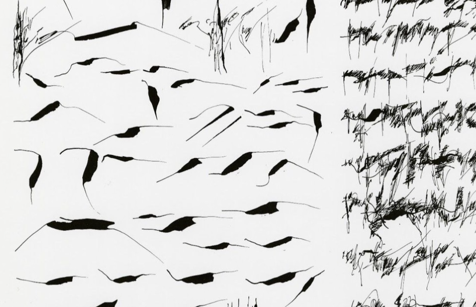 Artwork by jialu pombo.