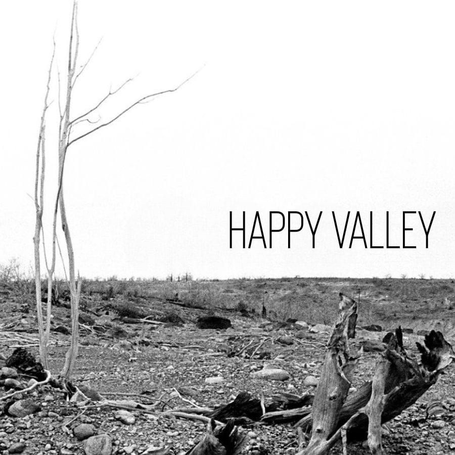 Promo image for Happy Valley.