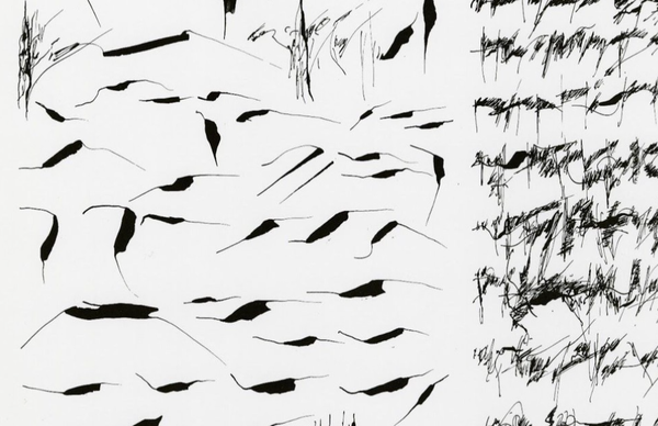 Artwork by jialu pombo.