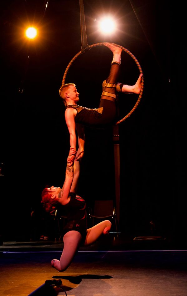 Promo image for "InterComplementary Elements."