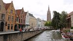 Pijpleiding Brugse Zot lek: Alle zwanen dronken
