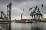 Belangrijke deal tussen havens Zeebrugge en Antwerpen: deel drugstrafiek gaat nu via Zeebrugge