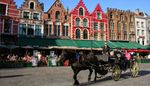 Wat met de paardenkoetsen in Brugge? "Opeten", zegt schepen Goderis