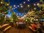 Pop-up bar naast crematorium De Blauwe Toren krijgt bakken kritiek