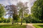 Rellen tussen senioren en jongeren in Minnewater: wat is er aan de hand?