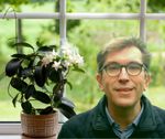 Eindelijk rechten voor planten: Franky Demon opgetogen