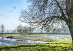 Stad Brugge op zoek naar natte, zompige grond om vol te bouwen