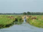 Zeeuws-Vlaanderen in trek bij Bruggelingen op zoek naar een "simpeler leven"
