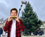 Stad haalt haastig kerstbomen weg uit vrees dat Gentenaars ze zouden opeten