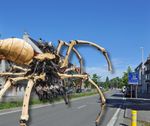 Brugge maakt zich op voor komst van gigantische spin