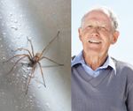 Ook bij Roger Verkeste thuis zit er een spin