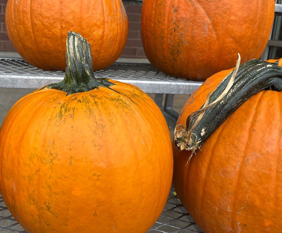 What Happened and What's Ahead in East Lansing