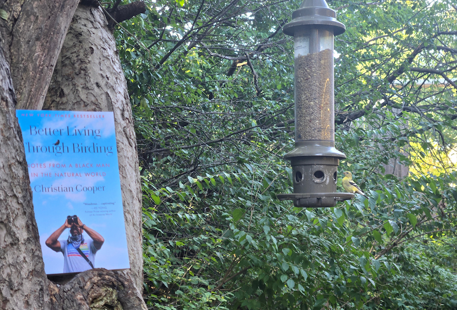 Regional Reading Initiative One Grand Read Connects Community Through Shared Story