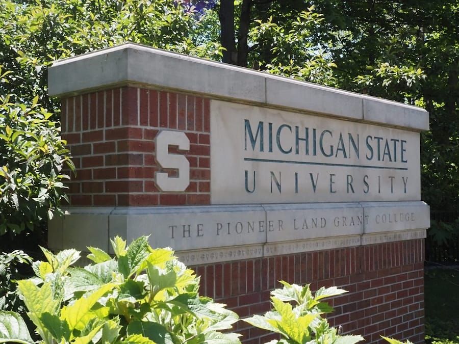 MSU Faces Scrutiny Over 17-Month Delay in Reporting Doctor’s Alleged Misconduct
