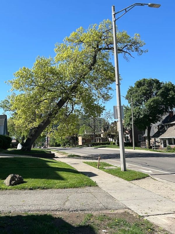 Catch Up on ELi's Reporting from this Week