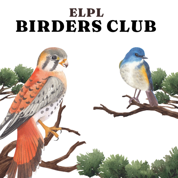 From Curious Beginners to Seasoned Spotters, East Lansing Birders Club Soars in Popularity