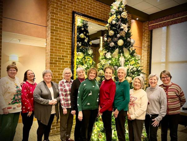 The Ministry of Widowhood