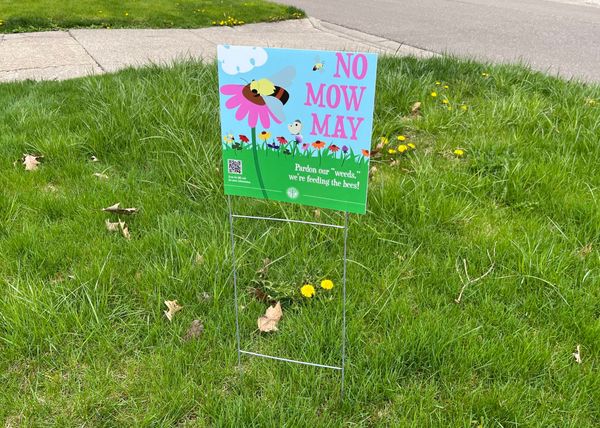 East Lansing Retires No Mow May, Will Instead Promote Native Landscapes