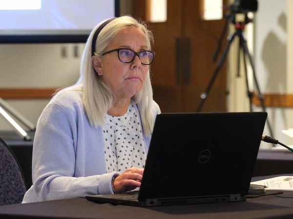 Called Out of Retirement, Annette Irwin Aims to Bring Stability as East Lansing's Interim City Manager
