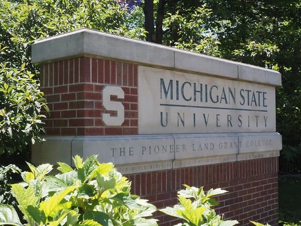 MSU Faces Scrutiny Over 17-Month Delay in Reporting Doctor’s Alleged Misconduct