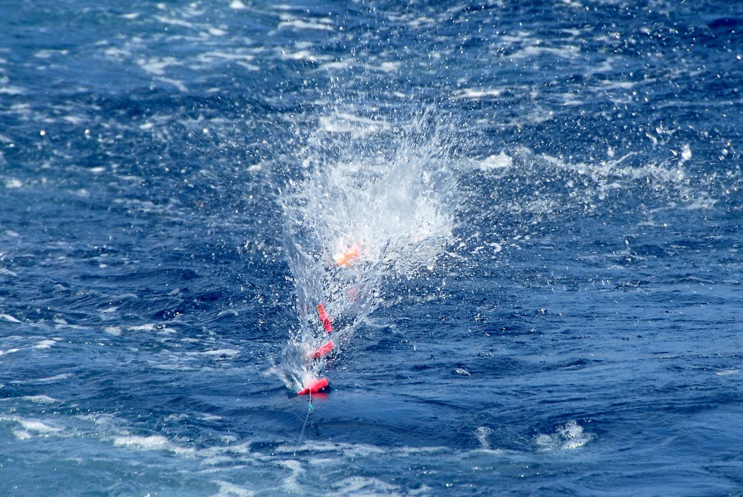 Различные тизеры, используемые при троллинге на императорскую иглу-рыбу