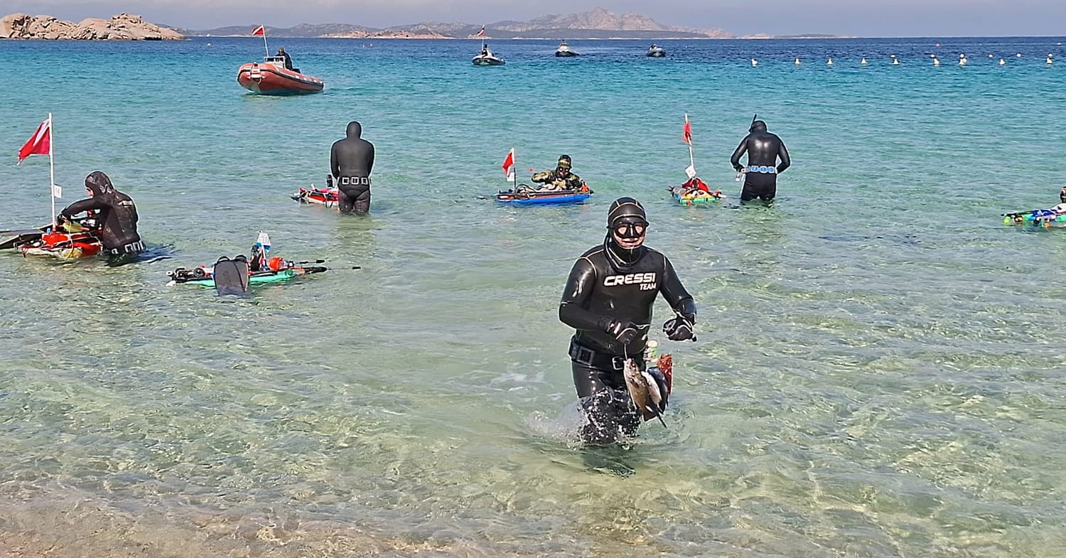 Приветствуем Экспертов